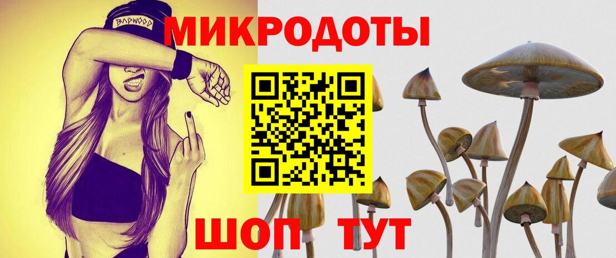 Уссурийск  Галлюциногенные грибы Psilocybine cubensis  Вход с VPN  Псилоцибиновые грибы Psilocybine cubensis 